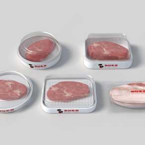 现代鲜肉3D模型下载